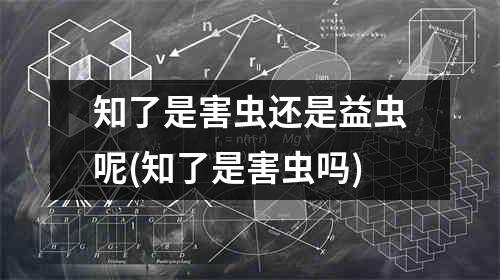 知了是害虫还是益虫呢(知了是害虫吗)