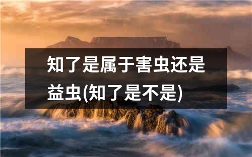 知了是属于害虫还是益虫(知了是不是)