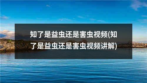 知了是益虫还是害虫视频(知了是益虫还是害虫视频讲解)