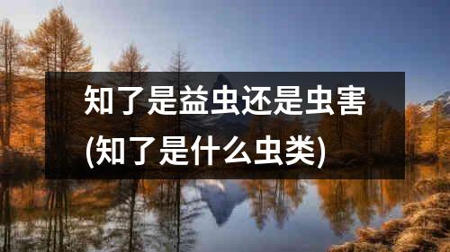 知了是益虫还是虫害(知了是什么虫类)