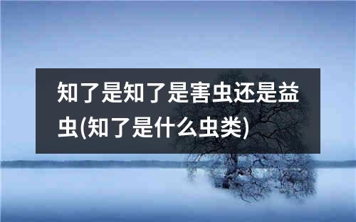 知了是知了是害虫还是益虫(知了是什么虫类)