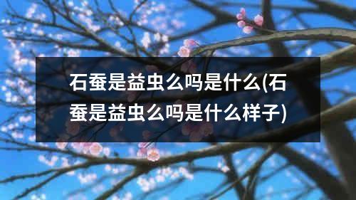 石蚕是益虫么吗是什么(石蚕是益虫么吗是什么样子)