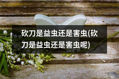 砍刀是益虫还是害虫(砍刀是益虫还是害虫呢)