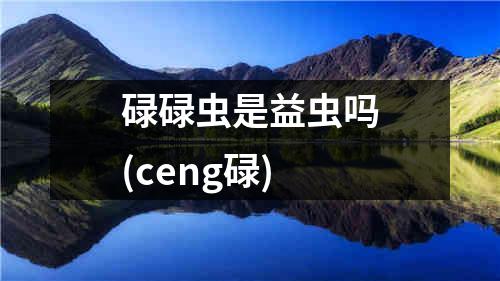 碌碌虫是益虫吗(ceng碌)