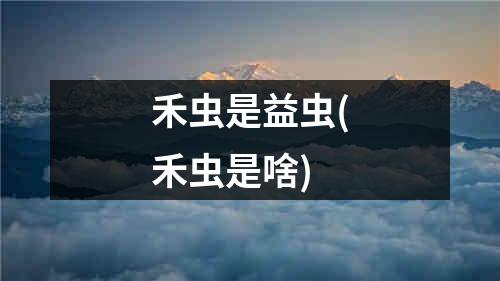 禾虫是益虫(禾虫是啥)