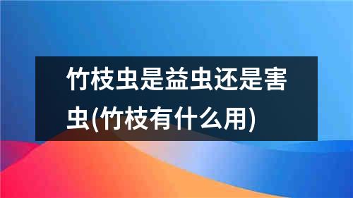 竹枝虫是益虫还是害虫(竹枝有什么用)