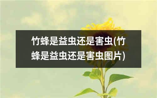 竹蜂是益虫还是害虫(竹蜂是益虫还是害虫图片)