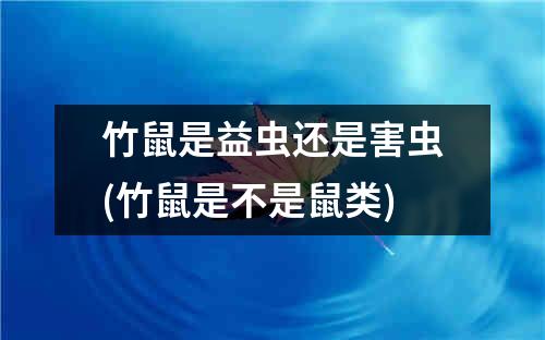 竹鼠是益虫还是害虫(竹鼠是不是鼠类)