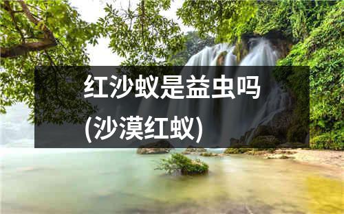 红沙蚁是益虫吗(沙漠红蚁)