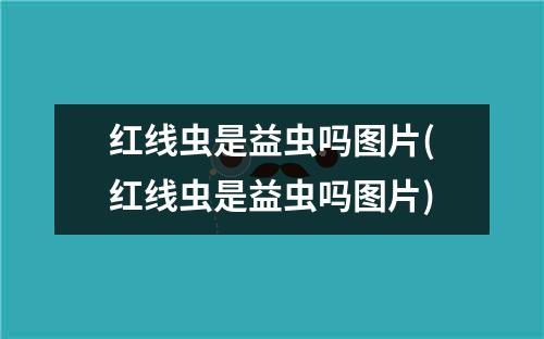 红线虫是益虫吗图片(红线虫是益虫吗图片)