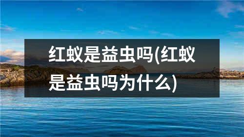 红蚁是益虫吗(红蚁是益虫吗为什么)