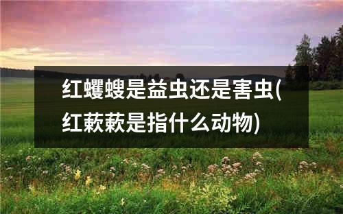 红蠼螋是益虫还是害虫(红蔌蔌是指什么动物)