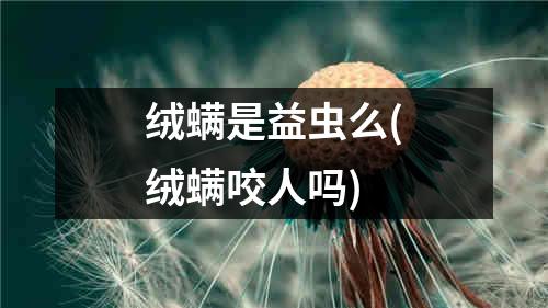 绒螨是益虫么(绒螨咬人吗)