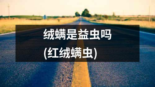 绒螨是益虫吗(红绒螨虫)