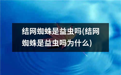 结网蜘蛛是益虫吗(结网蜘蛛是益虫吗为什么)