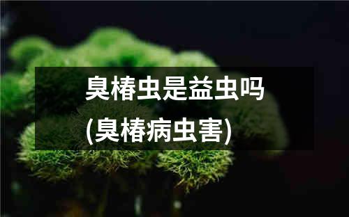 臭椿虫是益虫吗(臭椿病虫害)