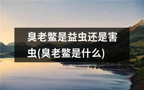 臭老鳖是益虫还是害虫(臭老鳖是什么)