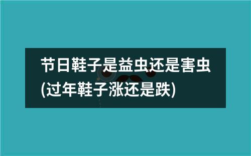 节日鞋子是益虫还是害虫(过年鞋子涨还是跌)