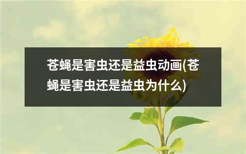 苍蝇是害虫还是益虫动画(苍蝇是害虫还是益虫为什么)