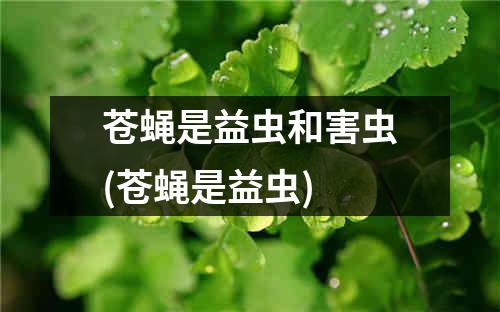 苍蝇是益虫和害虫(苍蝇是益虫)