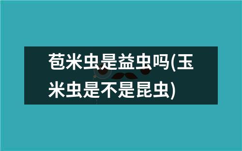 苞米虫是益虫吗(玉米虫是不是昆虫)