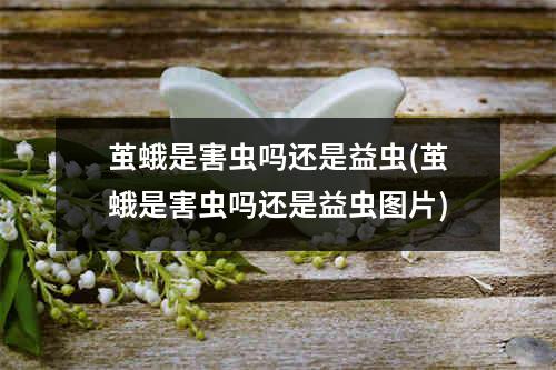 茧蛾是害虫吗还是益虫(茧蛾是害虫吗还是益虫图片)