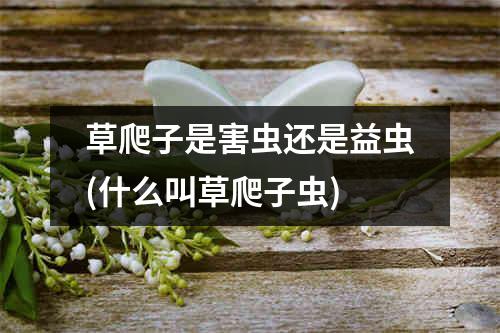 草爬子是害虫还是益虫(什么叫草爬子虫)