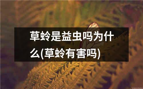 草蛉是益虫吗为什么(草蛉有害吗)