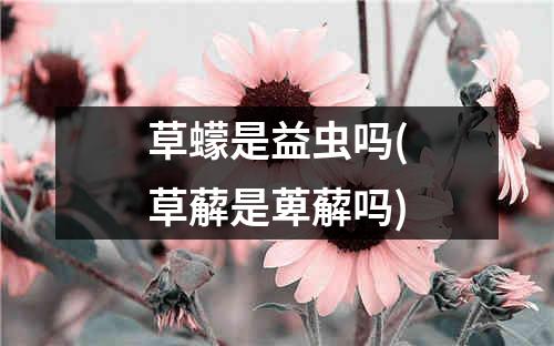 草蠓是益虫吗(草薢是萆薢吗)