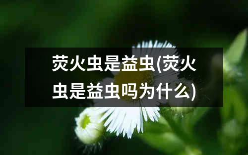 荧火虫是益虫(荧火虫是益虫吗为什么)