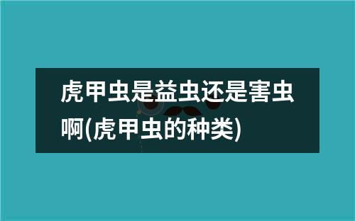 虎甲虫是益虫还是害虫啊(虎甲虫的种类)