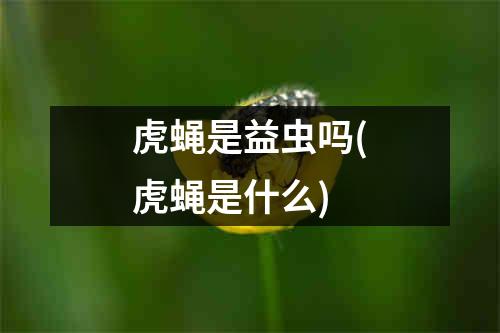 虎蝇是益虫吗(虎蝇是什么)