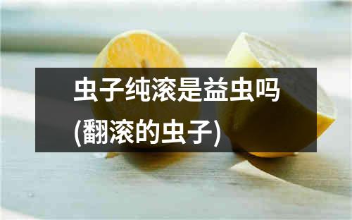 虫子纯滚是益虫吗(翻滚的虫子)