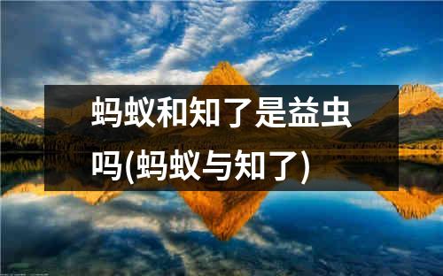 蚂蚁和知了是益虫吗(蚂蚁与知了)