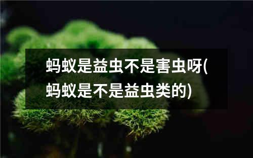 蚂蚁是益虫不是害虫呀(蚂蚁是不是益虫类的)