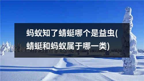 蚂蚁知了蜻蜓哪个是益虫(蜻蜓和蚂蚁属于哪一类)