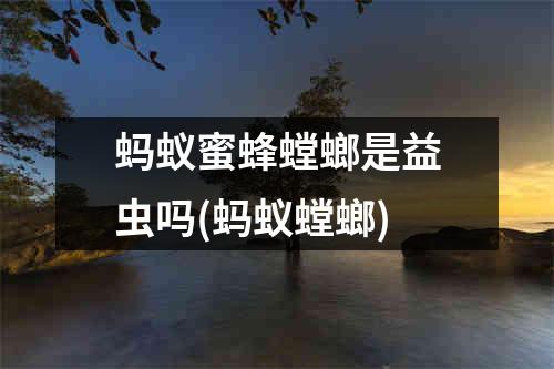 蚂蚁蜜蜂螳螂是益虫吗(蚂蚁螳螂)