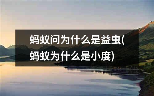 蚂蚁问为什么是益虫(蚂蚁为什么是小度)