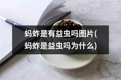 蚂蚱是有益虫吗图片(蚂蚱是益虫吗为什么)