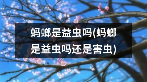 蚂螂是益虫吗(蚂螂是益虫吗还是害虫)