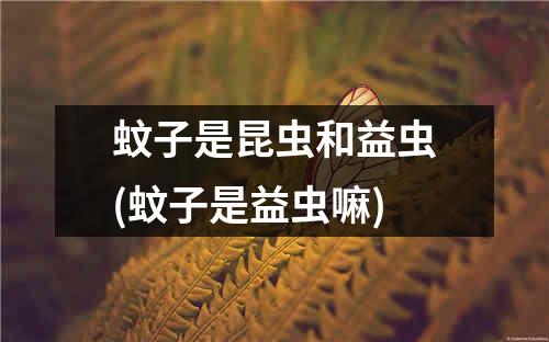 蚊子是昆虫和益虫(蚊子是益虫嘛)