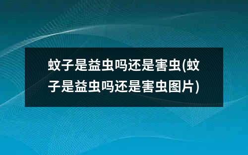 蚊子是益虫吗还是害虫(蚊子是益虫吗还是害虫图片)