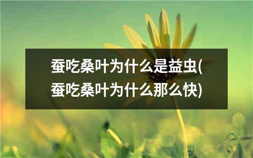 蚕吃桑叶为什么是益虫(蚕吃桑叶为什么那么快)