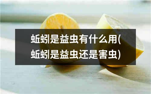 蚯蚓是益虫有什么用(蚯蚓是益虫还是害虫)