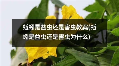 蚯蚓是益虫还是害虫教案(蚯蚓是益虫还是害虫为什么)