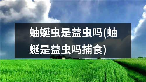 蚰蜒虫是益虫吗(蚰蜒是益虫吗捕食)