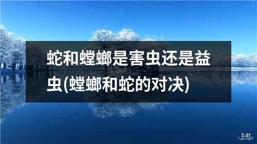 蛇和螳螂是害虫还是益虫(螳螂和蛇的对决)