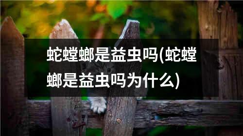 蛇螳螂是益虫吗(蛇螳螂是益虫吗为什么)