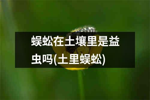 蜈蚣在土壤里是益虫吗(土里蜈蚣)