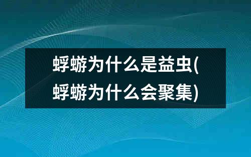 蜉蝣为什么是益虫(蜉蝣为什么会聚集)